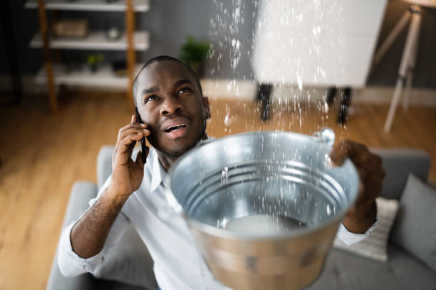 Best Water damage contractors near me  in Red Lake Falls, MN