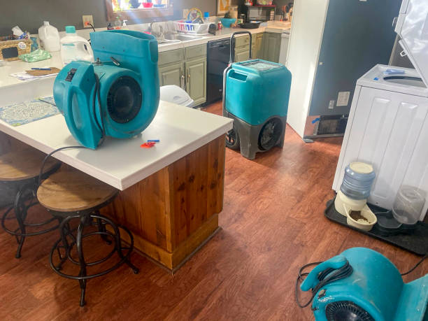Best Commercial water damage restoration  in Red Lake Falls, MN