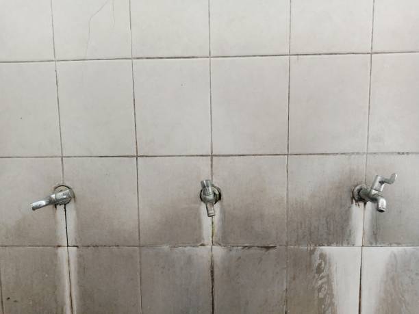 Best Local water damage restoration  in Red Lake Falls, MN