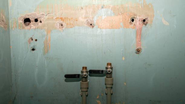 Best Ceiling water damage repair  in Red Lake Falls, MN